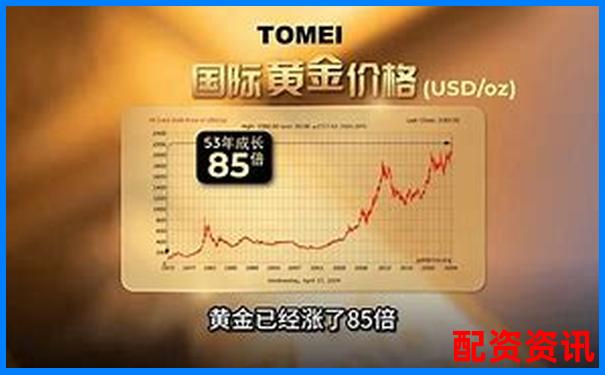 黄金杠杆原理解析及其在投资中的应用策略-100股最多赚多少倍