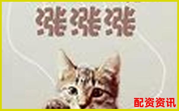 2024年线上股票配资平台投资指南与实战解析-炒股10倍杠杆卖出怎么算收益