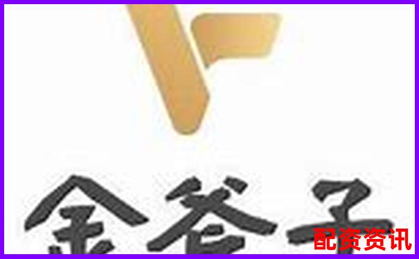 金斧子股票配资电话是多少 如何快速联系客服咨询-期权中的杠杆是什么意思