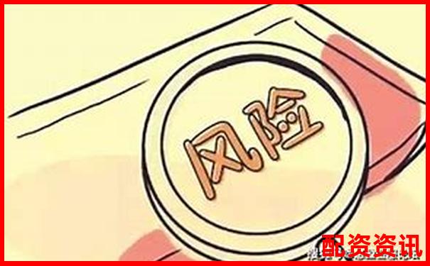 保险杠杆原理解析小投入大保障的奥秘