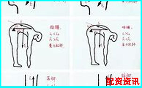 初二物理杠杆原理轻松学 30分钟掌握关键知识点-3倍杠杆爆仓怎么算