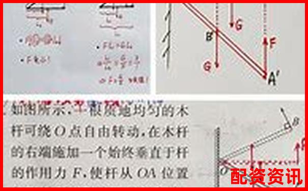 初二物理杠杆原理轻松学 30分钟掌握关键知识点-比特币百倍杠杆平台是什么