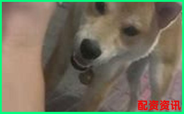10倍杠杆配资聚焦佰朔资本注册地深度解析-一倍杠杆不会爆仓吗