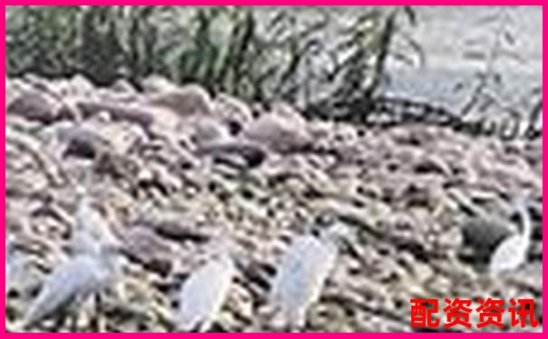 10倍杠杆配资聚焦佰朔资本注册地深度解析-股票配资官网入口网址