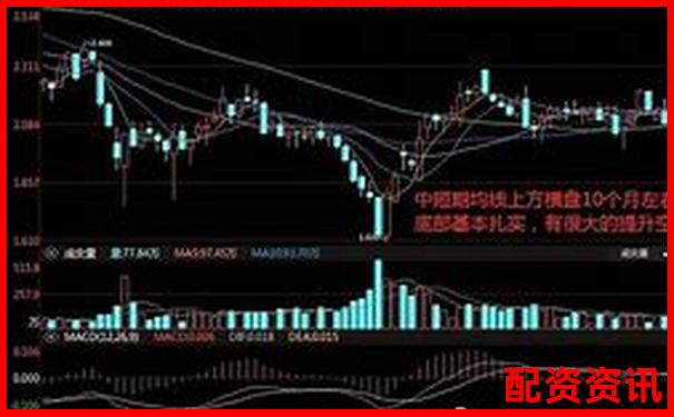 香港股票配资平台排行榜（含大陆用户支持情况）