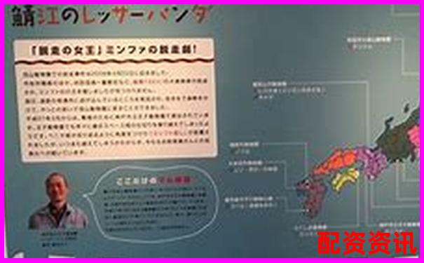 全国十大配资公司排行榜，哪家更适合小额用户？-股票涨5元左右是赚了多少倍呢知乎
